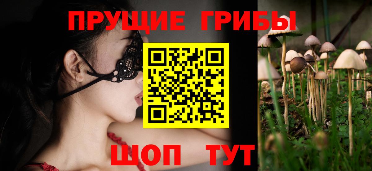 Псилоцибиновые грибы Magic Shrooms  Вход с VPN  Рубцовск 